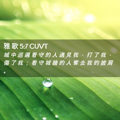 Picture 02 - 雅 歌 5:7 CUVT - 城 中 巡 邏 看 守 的 人 遇 見 我 ， - Bible Verse Picture