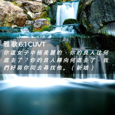 Picture 02 - 雅 歌 6:1 CUVT - 你 這 女 子 中 極 美 麗 的 ， 你 的 - Bible Verse Picture