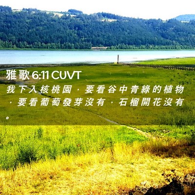Picture 02 - 雅 歌 6:11 CUVT - 我 下 入 核 桃 園 ， 要 看 谷 中 青 - Bible Verse Picture