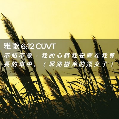 Picture 02 - 雅 歌 6:12 CUVT - 不 知 不 覺 ， 我 的 心 將 我 安 置 - Bible Verse Picture