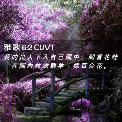 Picture 02 - 雅 歌 6:2 CUVT - 我 的 良 人 下 入 自 己 園 中 ， 到 - Bible Verse Picture