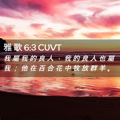 Picture 02 - 雅 歌 6:3 CUVT - 我 屬 我 的 良 人 ， 我 的 良 人 也 - Bible Verse Picture