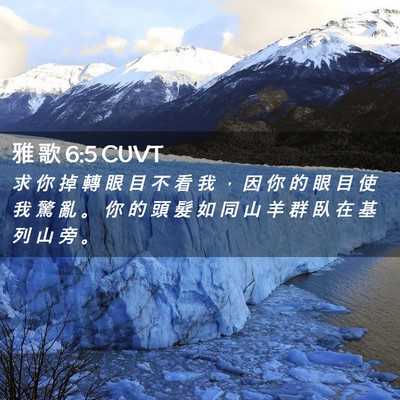 Picture 02 - 雅 歌 6:5 CUVT - 求 你 掉 轉 眼 目 不 看 我 ， 因 你 - Bible Verse Picture