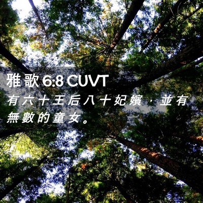 Picture 02 - 雅 歌 6:8 CUVT - 有 六 十 王 后 八 十 妃 嬪 ， 並 有 - Bible Verse Picture