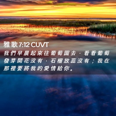 Picture 02 - 雅 歌 7:12 CUVT - 我 們 早 晨 起 來 往 葡 萄 園 去 ， - Bible Verse Picture