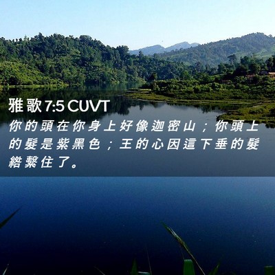 Picture 02 - 雅 歌 7:5 CUVT - 你 的 頭 在 你 身 上 好 像 迦 密 山 - Bible Verse Picture