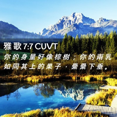 Picture 02 - 雅 歌 7:7 CUVT - 你 的 身 量 好 像 棕 樹 ； 你 的 兩 - Bible Verse Picture