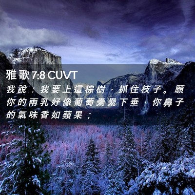 Picture 02 - 雅 歌 7:8 CUVT - 我 說 ： 我 要 上 這 棕 樹 ， 抓 住 - Bible Verse Picture