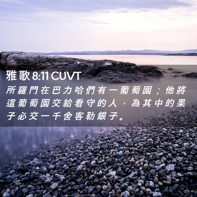 Picture 02 - 雅 歌 8:11 CUVT - 所 羅 門 在 巴 力 哈 們 有 一 葡 萄 - Bible Verse Picture