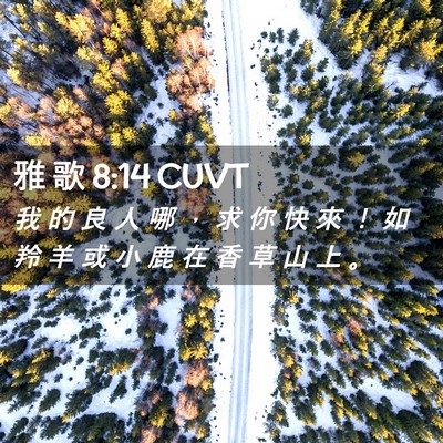 Picture 02 - 雅 歌 8:14 CUVT - 我 的 良 人 哪 ， 求 你 快 來 ！ 如 - Bible Verse Picture