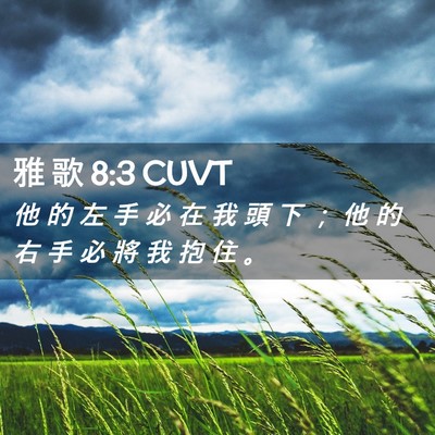 Picture 02 - 雅 歌 8:3 CUVT - 他 的 左 手 必 在 我 頭 下 ； 他 的 - Bible Verse Picture