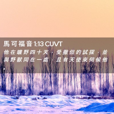 Picture 02 - 馬 可 福 音 1:13 CUVT - 他 在 曠 野 四 十 天 ， 受 撒 但 的 - Bible Verse Picture