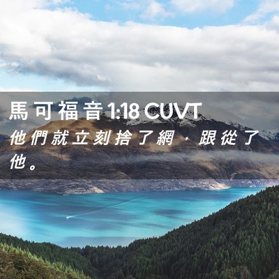 Picture 02 - 馬 可 福 音 1:18 CUVT - 他 們 就 立 刻 捨 了 網 ， 跟 從 了 - Bible Verse Picture