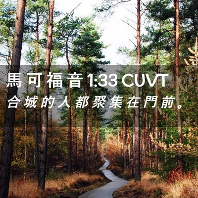 Picture 02 - 馬 可 福 音 1:33 CUVT - 合 城 的 人 都 聚 集 在 門 前 - Bible Verse Picture