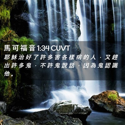 Picture 02 - 馬 可 福 音 1:34 CUVT - 耶 穌 治 好 了 許 多 害 各 樣 病 的 - Bible Verse Picture