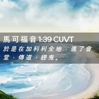 Picture 02 - 馬 可 福 音 1:39 CUVT - 於 是 在 加 利 利 全 地 ， 進 了 會 - Bible Verse Picture