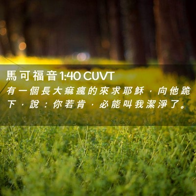 Picture 02 - 馬 可 福 音 1:40 CUVT - 有 一 個 長 大 痲 瘋 的 來 求 耶 穌 - Bible Verse Picture