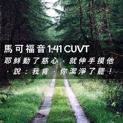 Picture 02 - 馬 可 福 音 1:41 CUVT - 耶 穌 動 了 慈 心 ， 就 伸 手 摸 他 - Bible Verse Picture