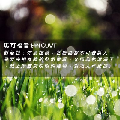 Picture 02 - 馬 可 福 音 1:44 CUVT - 對 他 說 ： 你 要 謹 慎 ， 甚 麼 話 - Bible Verse Picture