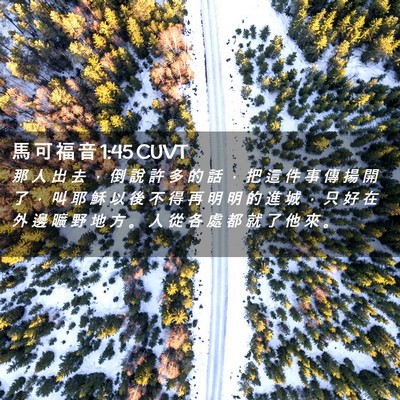 Picture 02 - 馬 可 福 音 1:45 CUVT - 那 人 出 去 ， 倒 說 許 多 的 話 ， - Bible Verse Picture