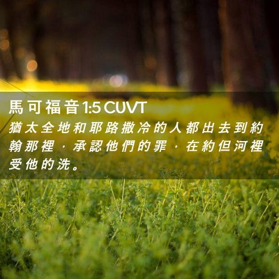 Picture 02 - 馬 可 福 音 1:5 CUVT - 猶 太 全 地 和 耶 路 撒 冷 的 人 都 - Bible Verse Picture