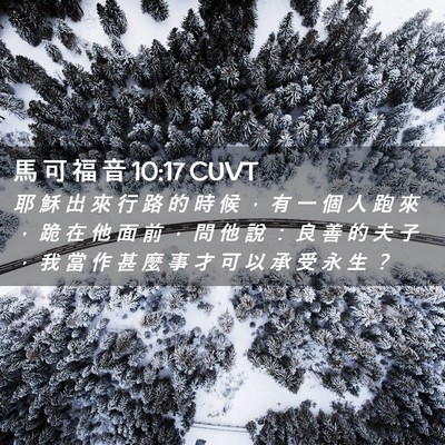 Picture 02 - 馬 可 福 音 10:17 CUVT - 耶 穌 出 來 行 路 的 時 候 ， 有 一 - Bible Verse Picture