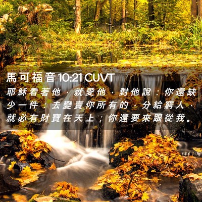 Picture 02 - 馬 可 福 音 10:21 CUVT - 耶 穌 看 著 他 ， 就 愛 他 ， 對 他 - Bible Verse Picture