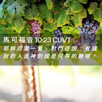 Picture 02 - 馬 可 福 音 10:23 CUVT - 耶 穌 周 圍 一 看 ， 對 門 徒 說 ： - Bible Verse Picture