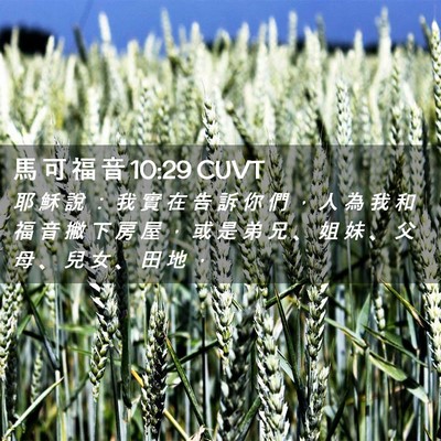 Picture 02 - 馬 可 福 音 10:29 CUVT - 耶 穌 說 ： 我 實 在 告 訴 你 們 ， - Bible Verse Picture