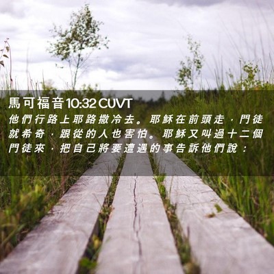 Picture 02 - 馬 可 福 音 10:32 CUVT - 他 們 行 路 上 耶 路 撒 冷 去 。 耶 - Bible Verse Picture