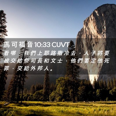 Picture 02 - 馬 可 福 音 10:33 CUVT - 看 哪 ， 我 們 上 耶 路 撒 冷 去 ， - Bible Verse Picture