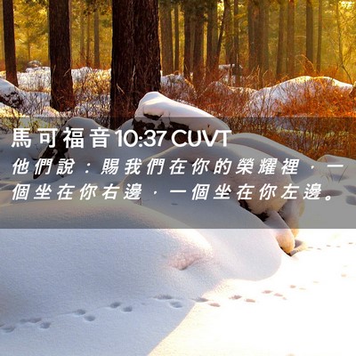 Picture 02 - 馬 可 福 音 10:37 CUVT - 他 們 說 ： 賜 我 們 在 你 的 榮 耀 - Bible Verse Picture
