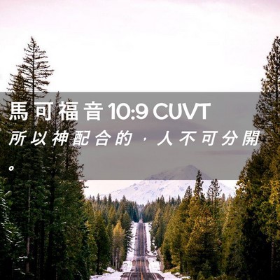 Picture 02 - 馬 可 福 音 10:9 CUVT - 所 以 神 配 合 的 ， 人 不 可 分 開 - Bible Verse Picture