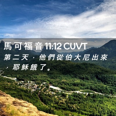 Picture 02 - 馬 可 福 音 11:12 CUVT - 第 二 天 ， 他 們 從 伯 大 尼 出 來 - Bible Verse Picture