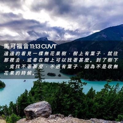 Picture 02 - 馬 可 福 音 11:13 CUVT - 遠 遠 的 看 見 一 棵 無 花 果 樹 ， - Bible Verse Picture
