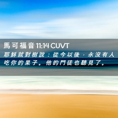 Picture 02 - 馬 可 福 音 11:14 CUVT - 耶 穌 就 對 樹 說 ： 從 今 以 後 ， - Bible Verse Picture