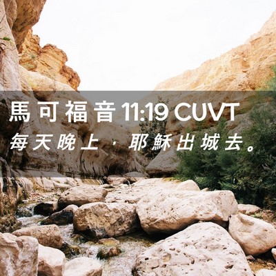 Picture 02 - 馬 可 福 音 11:19 CUVT - 每 天 晚 上 ， 耶 穌 出 城 去 - Bible Verse Picture