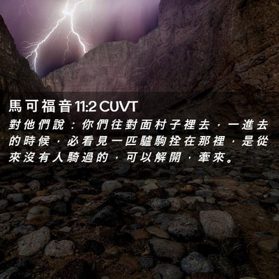 Picture 02 - 馬 可 福 音 11:2 CUVT - 對 他 們 說 ： 你 們 往 對 面 村 子 - Bible Verse Picture