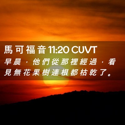 Picture 02 - 馬 可 福 音 11:20 CUVT - 早 晨 ， 他 們 從 那 裡 經 過 ， 看 - Bible Verse Picture