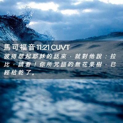 Picture 02 - 馬 可 福 音 11:21 CUVT - 彼 得 想 起 耶 穌 的 話 來 ， 就 對 - Bible Verse Picture