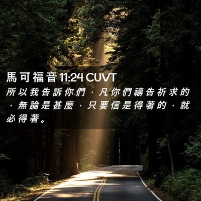 Picture 02 - 馬 可 福 音 11:24 CUVT - 所 以 我 告 訴 你 們 ， 凡 你 們 禱 - Bible Verse Picture
