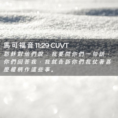 Picture 02 - 馬 可 福 音 11:29 CUVT - 耶 穌 對 他 們 說 ： 我 要 問 你 們 - Bible Verse Picture