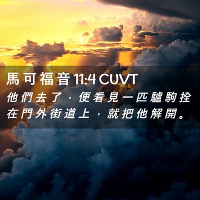 Picture 02 - 馬 可 福 音 11:4 CUVT - 他 們 去 了 ， 便 看 見 一 匹 驢 駒 - Bible Verse Picture