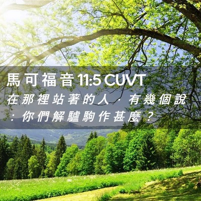 Picture 02 - 馬 可 福 音 11:5 CUVT - 在 那 裡 站 著 的 人 ， 有 幾 個 說 - Bible Verse Picture
