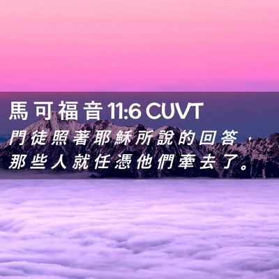 Picture 02 - 馬 可 福 音 11:6 CUVT - 門 徒 照 著 耶 穌 所 說 的 回 答 ， - Bible Verse Picture