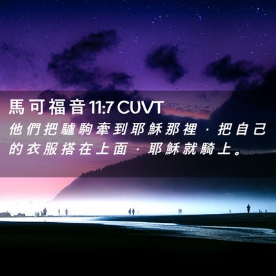 Picture 02 - 馬 可 福 音 11:7 CUVT - 他 們 把 驢 駒 牽 到 耶 穌 那 裡 ， - Bible Verse Picture