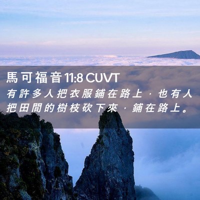Picture 02 - 馬 可 福 音 11:8 CUVT - 有 許 多 人 把 衣 服 鋪 在 路 上 ， - Bible Verse Picture