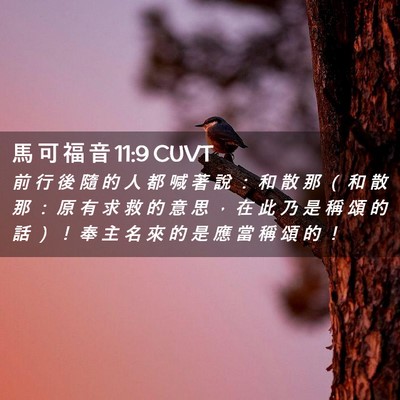 Picture 02 - 馬 可 福 音 11:9 CUVT - 前 行 後 隨 的 人 都 喊 著 說 ： 和 - Bible Verse Picture