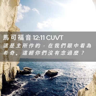 Picture 02 - 馬 可 福 音 12:11 CUVT - 這 是 主 所 作 的 ， 在 我 們 眼 中 - Bible Verse Picture