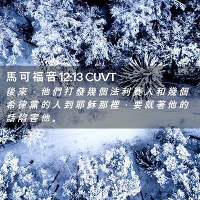 Picture 02 - 馬 可 福 音 12:13 CUVT - 後 來 ， 他 們 打 發 幾 個 法 利 賽 - Bible Verse Picture